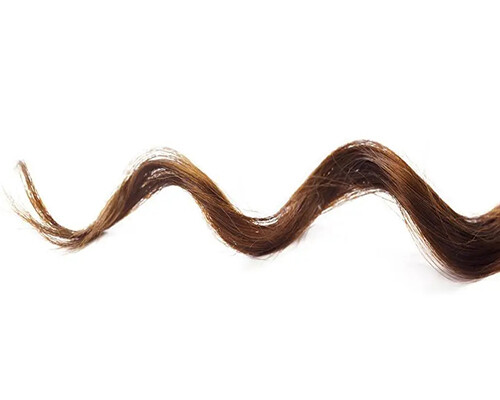 Eine lockig geformte Haarsträhne vor weißem Hintergrund